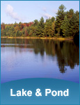 Lake & Pond
